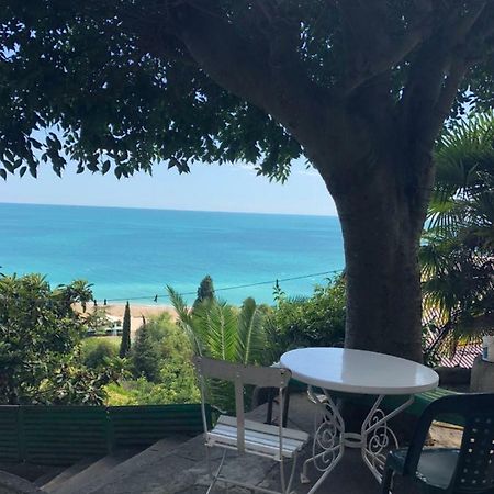 Панорама-Гагра Hotel Eksteriør billede